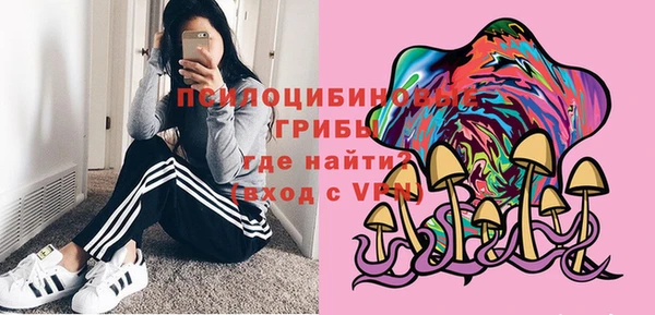 2c-b Алексин