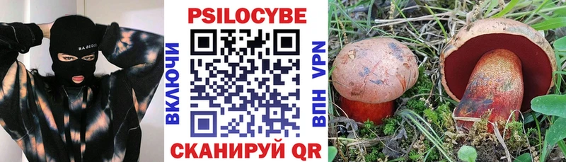 OMG ONION наркотики Димитровград Псилоцибиновые грибы Cubensis